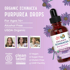 Organic Echinacea Purpurea Herbal Liquid Drops