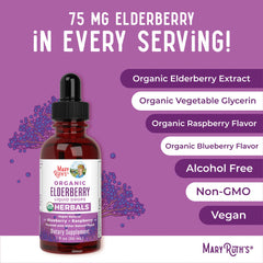 Organic Elderberry Liquid Drops